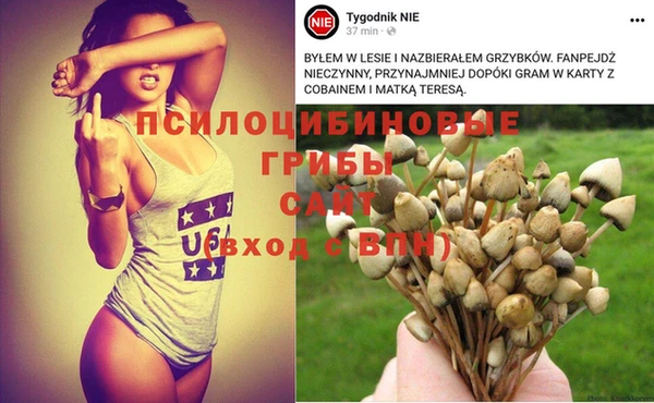 ALPHA PVP Беломорск
