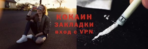 индика Белокуриха