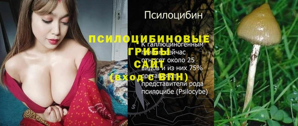 индика Белокуриха