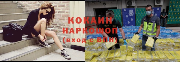 индика Белокуриха