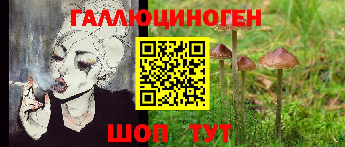 Галлюциногенные грибы Magic Shrooms Сегежа