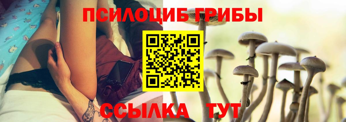APVP Сегежа